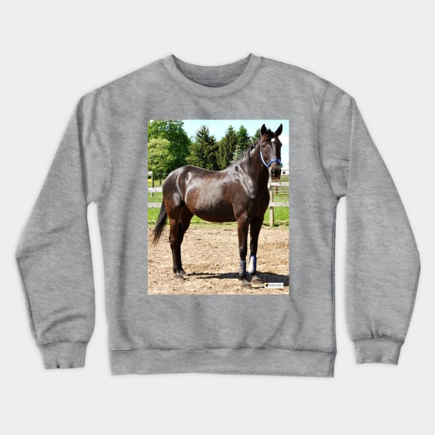 Russ Crewneck Sweatshirt by SunshineHorses